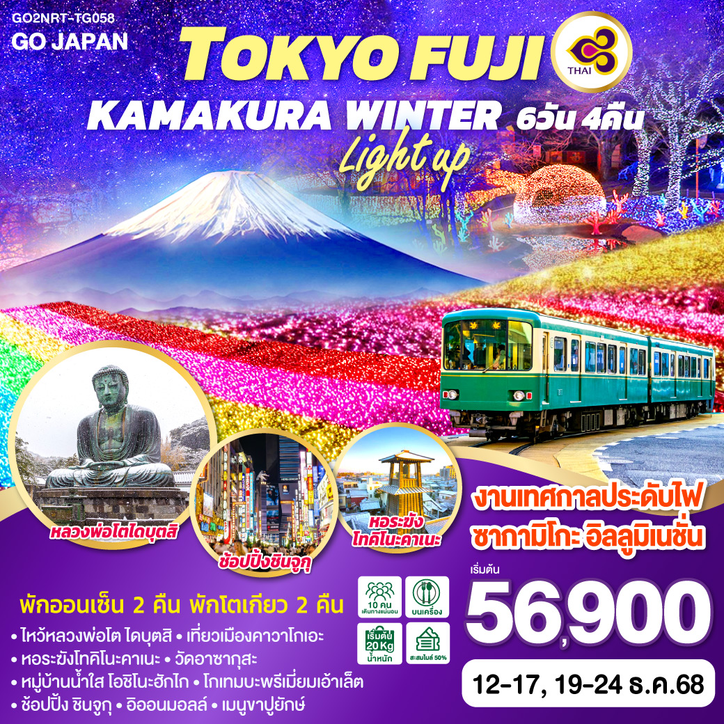 ทัวร์ญี่ปุ่น TOKYO FUJI KAMAKURA WINTER LIGHT UP 6วัน 4คืน (TG)
